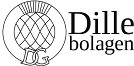 A Swedish Agency, website development in WordPress Elementor for Dille bolagen